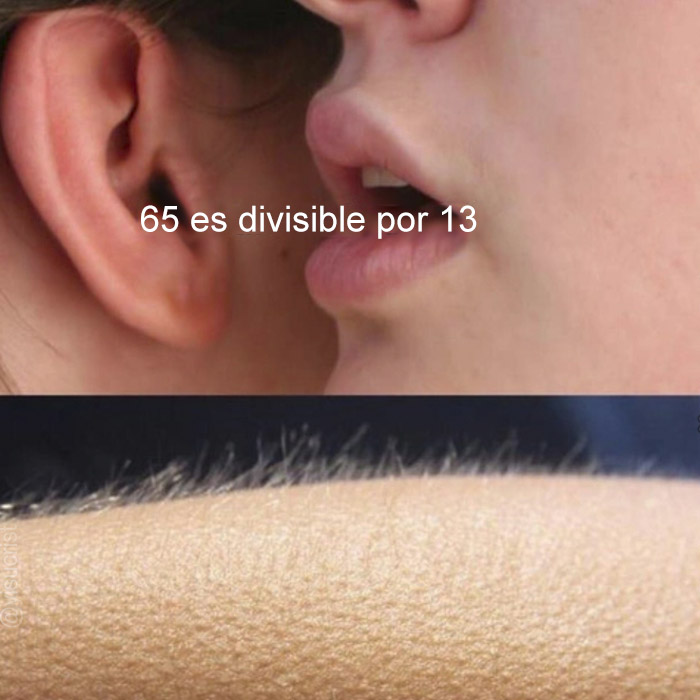 vengo a alegrarte el dia
