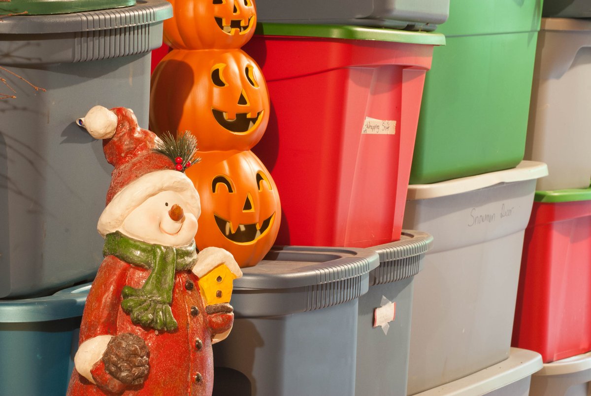 Holiday Pest Proofing Tip: When the holiday season’s over, store decorations away in plastic bins with lids that fit tight and lock. Avoid cardboard, which has ingredients that can provide a tasty snack for rodents.