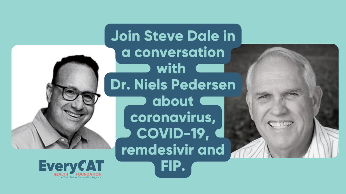 everycathealth's tweet photo. EveryCat Board member Steve Dale talks with Dr. Niels Pedersen, Professor Emeritus at UC-Davis, about coronavirus, COVID-19, remdesivir and FIP.
https://t.co/yXZiSzaDoM
#endFIP #fipsurvivor #fipawareness #fipcats #everycathealth #cathealth #felinehealth #felinemedicine https://t.co/hJuhuhxhWa