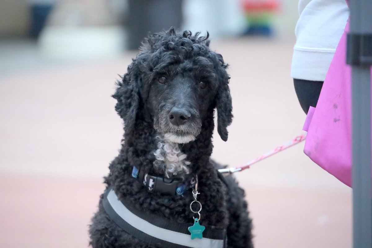 Grow Local Farmers' Market tweet media