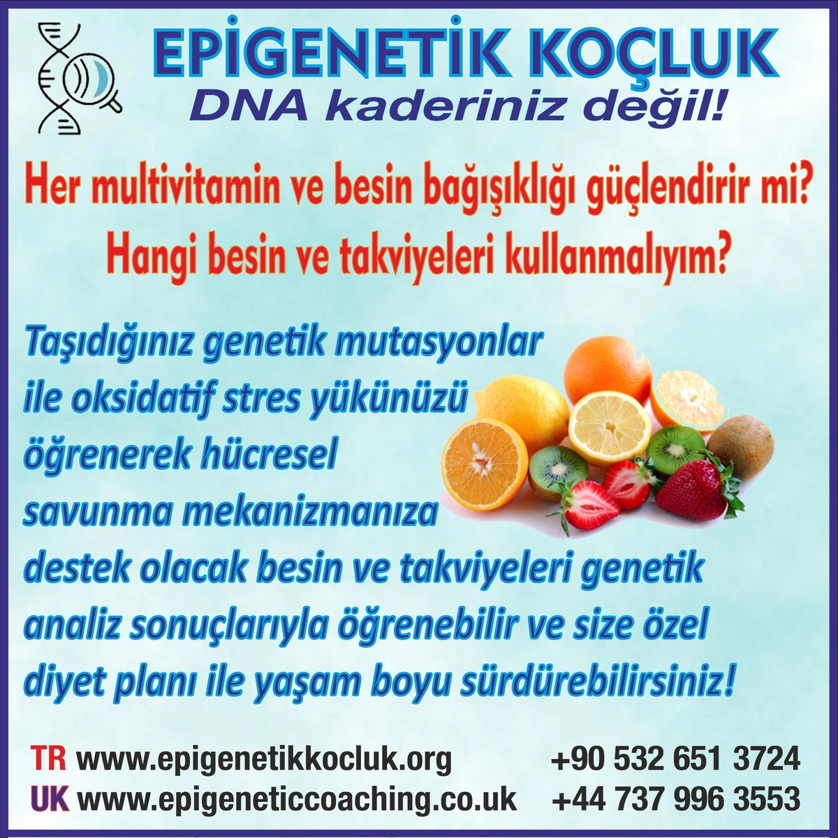 EpigeneticsC's tweet photo. 🧬#epigenetics #epigeneticcoaching #nutrigenetics #nutrigenomics #norwich https://t.co/avQBedFQxa
