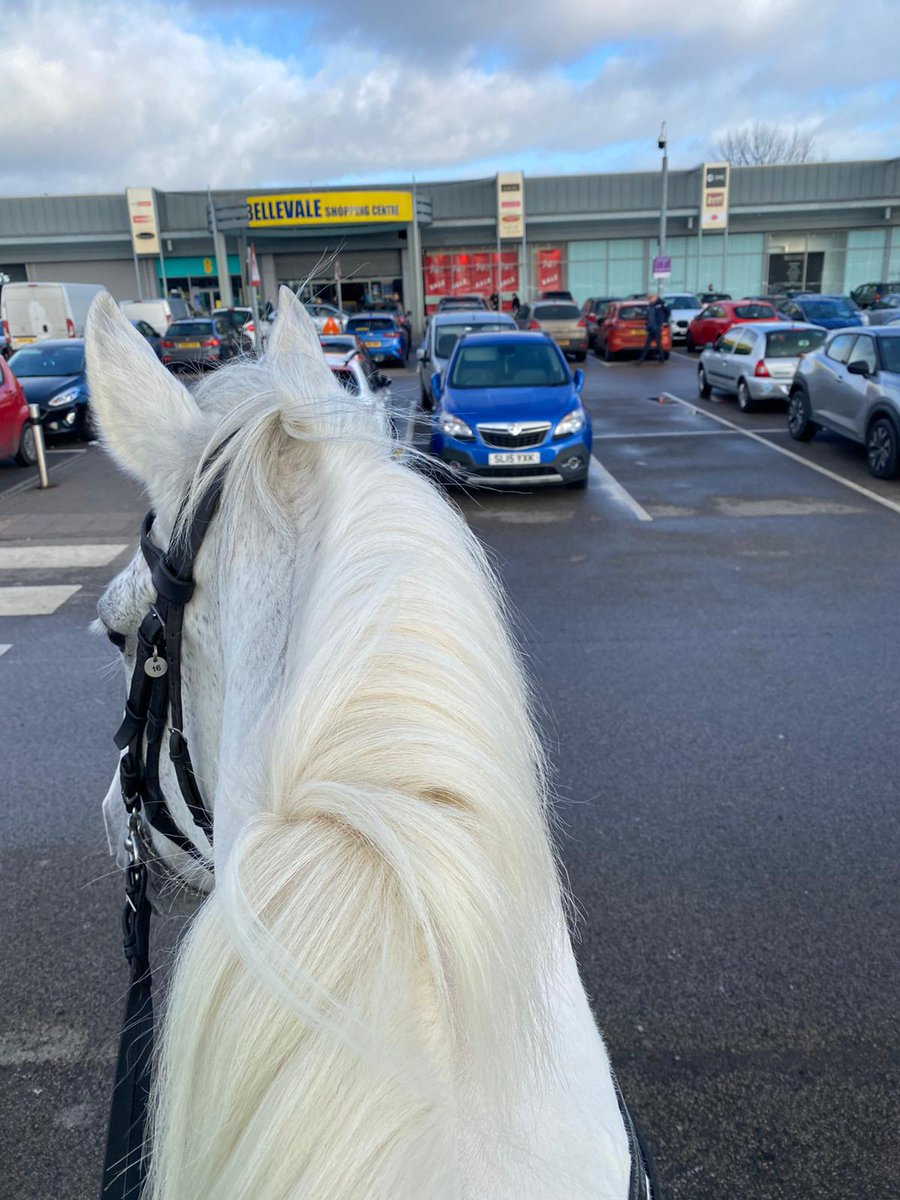 Silver and Beau have been involved in a day of action in Belle Vale today.
#StandTall #PHSilver #PHBeau #BelleVale #DayOfAction
@MerPolSthLpool