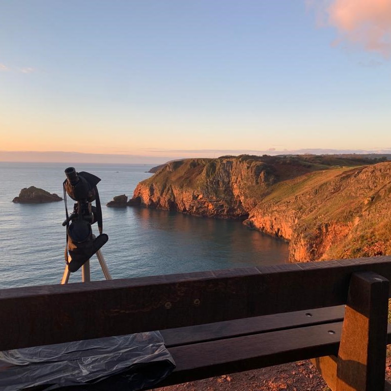 BerryHeadRanger's tweet photo. An early morning guillemot count came to 686 at Berry Head this week. This is something that we carry out 10 times a month throughout the year to monitor numbers. #guillemots #seabirds #seabirdcount https://t.co/eUzhfHKYOv