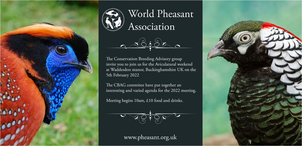 WorldPheasantAs's tweet photo. The full programme for the Conservation Breeding and Advisory Group meeting at Waddesdon Manor on Saturday 5 February 2022 are now available - see: https://t.co/ODXxLM5hz4 https://t.co/BLmbmSpyqB