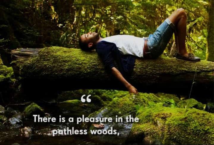 ChewaseMw's tweet image. #withnature heal the lungs of world #treeplantingseason #bepartofthesolution