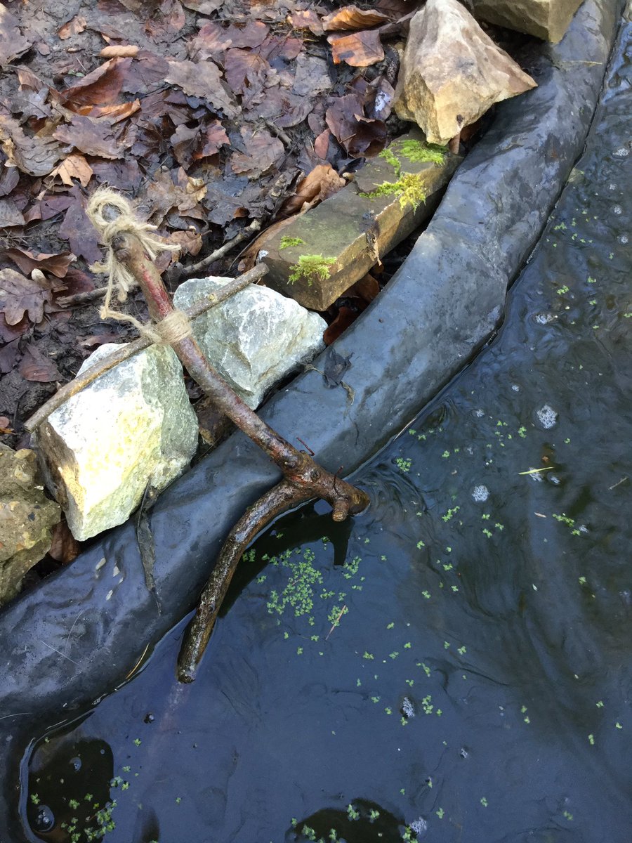 PipersForestSch's tweet image. More action from the stickmen, a bit of swimming, a relax by the pool before drying off in the sun #PipersReception @PipersPrePrep #springiscoming