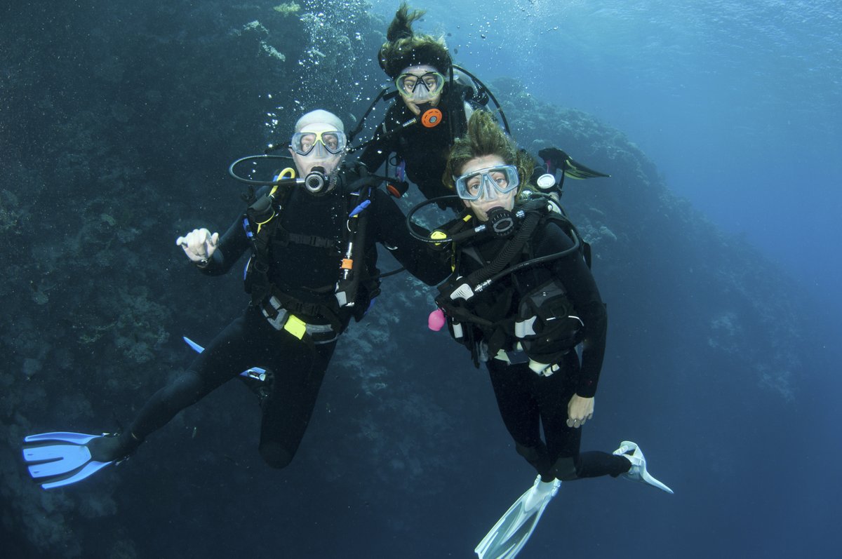 diveworldwide's tweet photo. Do you love travel, diving and the underwater world? We have a job opening for a friendly and passionate sales consultant to work with one of the UK’s finest diving holiday companies.

Find out more and how to apply here > https://t.co/6pVTxGVWnK https://t.co/uFFGnf8y4r