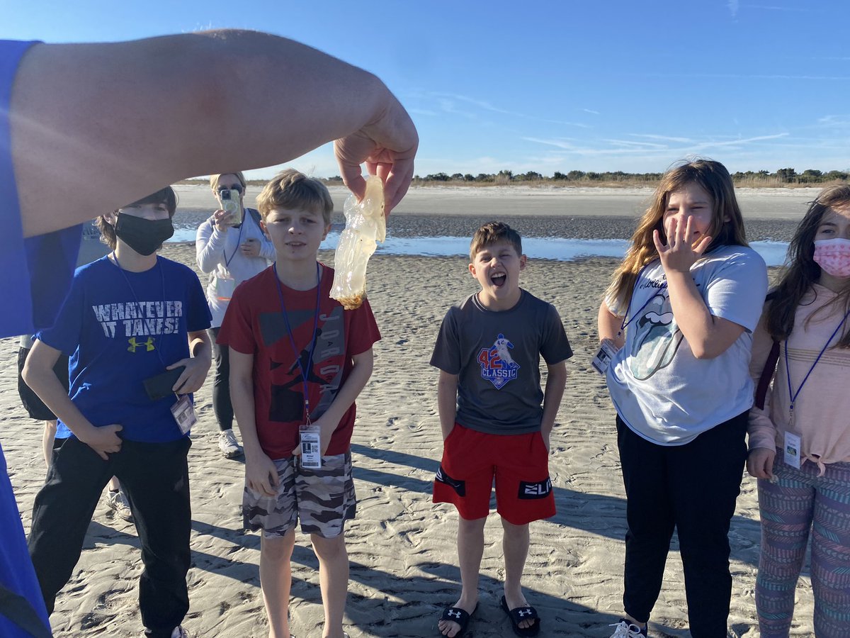 lancepolikov1's tweet photo. #RNEJekyll22 turtles and the jellyfish https://t.co/RU5fyPhv7G