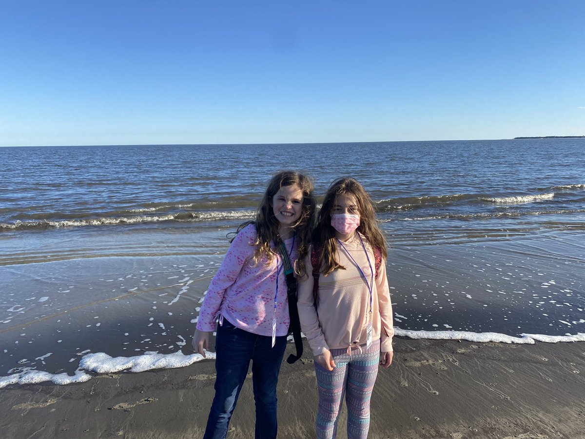 lancepolikov1's tweet photo. #RNEJekyll22  turtles at the beach https://t.co/m7xQFB6g5u