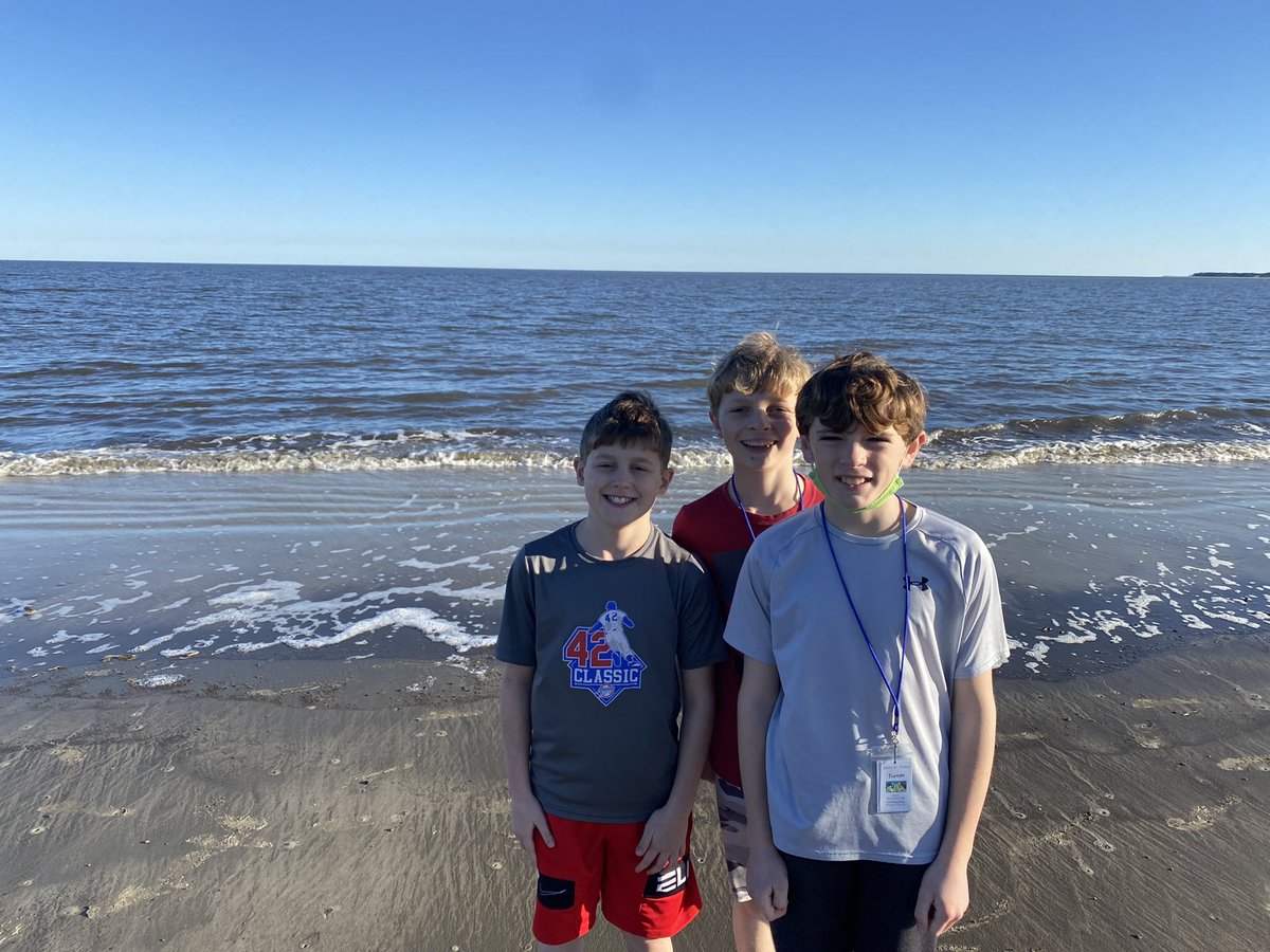 lancepolikov1's tweet photo. #RNEJekyll22  turtles at the beach https://t.co/m7xQFB6g5u
