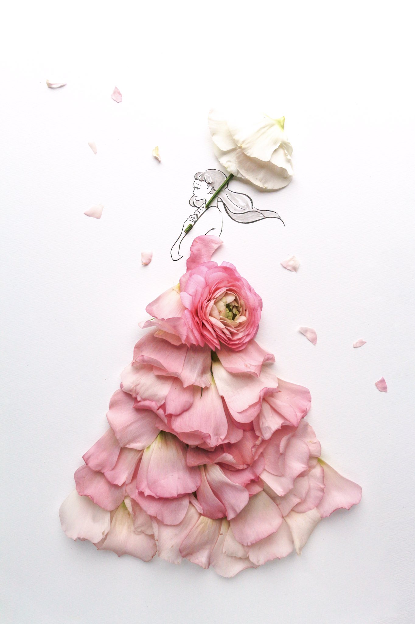 はな言葉 葉菜桜花子 新刊発売 きょう1月日は 大寒 二十日正月 海外団体旅行の日 血栓予防の日 デヴィッド ボウイの 日 玉の輿の日 誕生花はラナンキュラス 花言葉は 晴れやかな魅力 清々しい美しさ T Co Ixr30e78ji Twitter