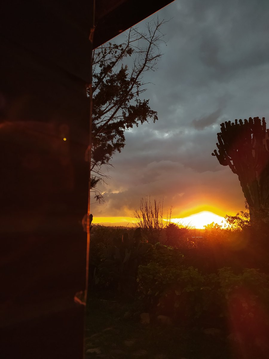 Pulp_room's tweet photo. Bisogna fare attenzione a ciò che si vuole o si cerca: lo si potrebbe ottenere. #cosavuoidallavita #desideri #scopi #ricercacontinua #sunsetphotography #redsunsetsicily https://t.co/hwNadnUfaO