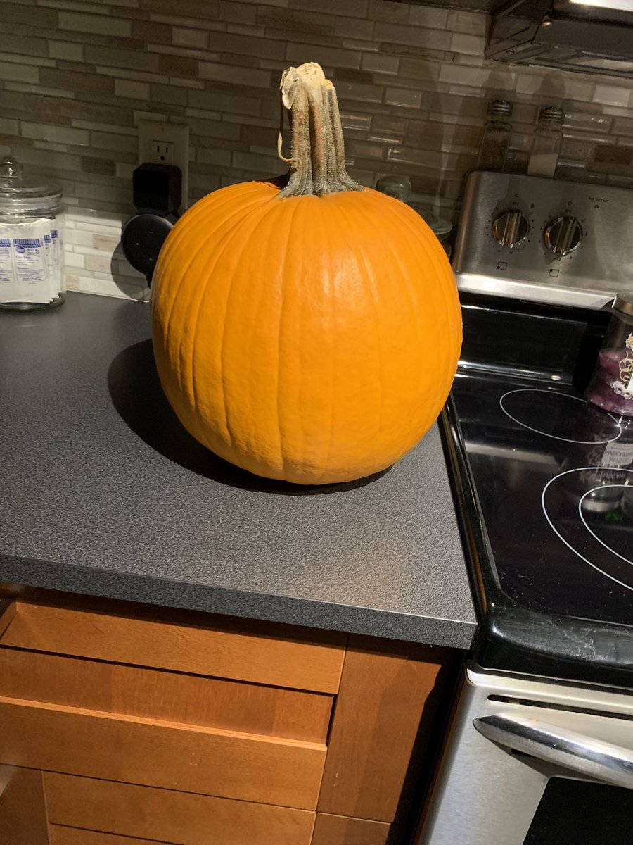 Rocket_1X's tweet photo. Is it too late to carve my pumpkin for Halloween? https://t.co/7xd2j0E8v2