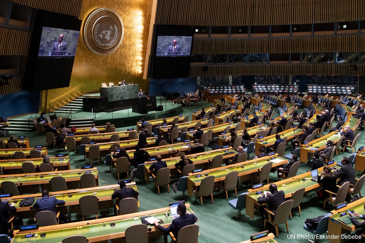 United Nations tweet media