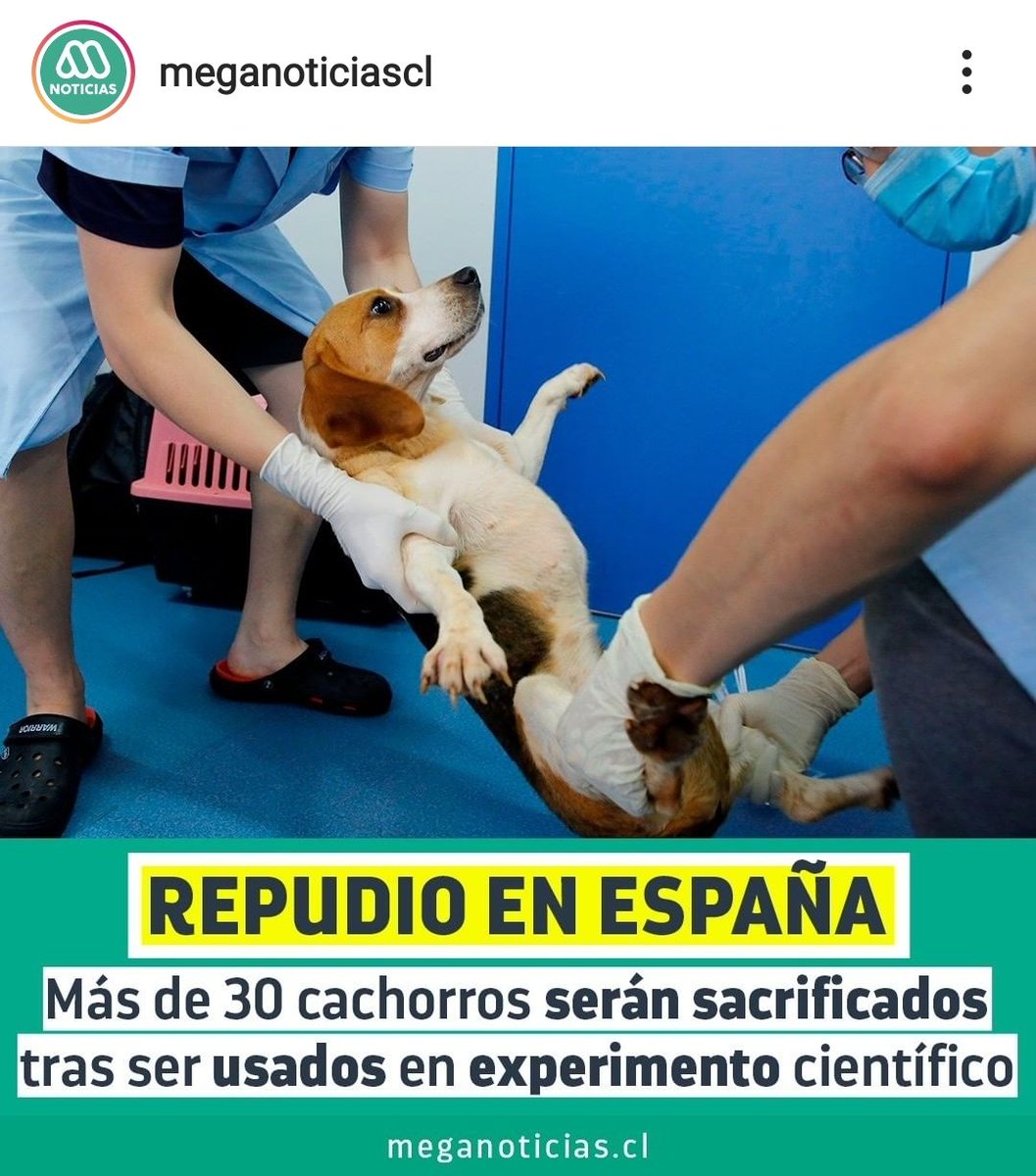 Ingrid73460864's tweet photo. La humanidad está siendo usada actualmente  para un experimento científico 💉 y quienes lo repudiamos somos etiquetados de Antivacunas, Negacionistas, Irresponsables y de Criminales. 😔 https://t.co/0Fsjmp5ceT