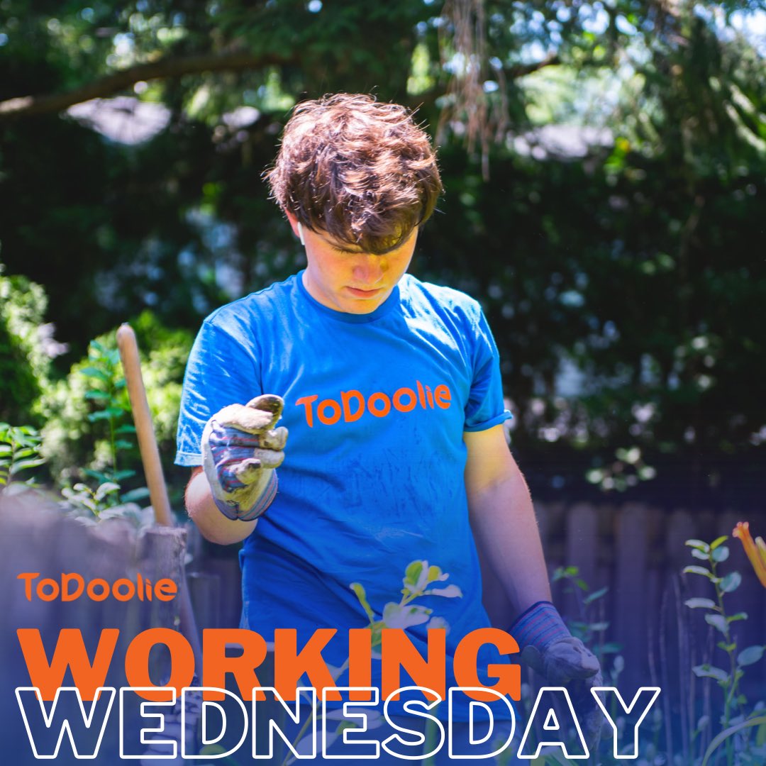 ToDoolie tweet media