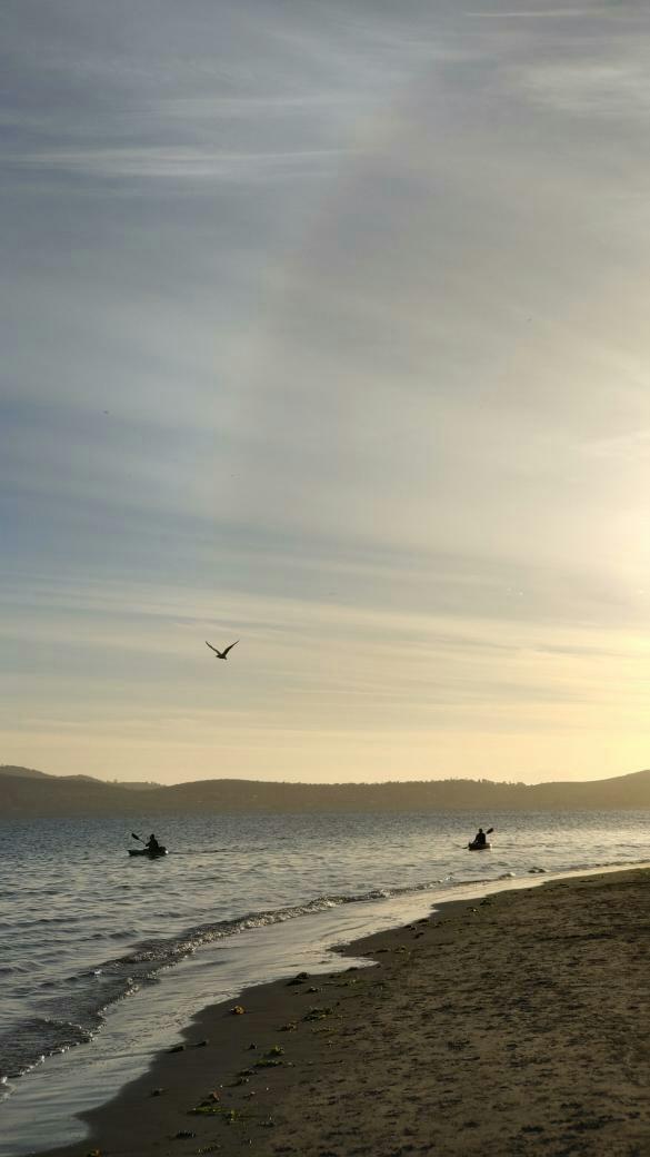 mareefudge's tweet photo. perfect start to the working day ;-) @Antarctic_space #paddle #summer #Tasmania https://t.co/ZmPHZUAtW0