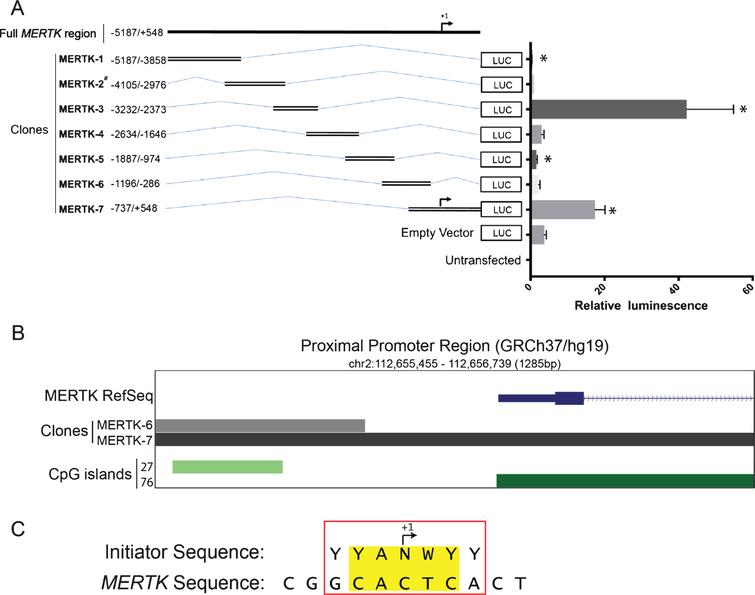 BPL_Journal's tweet photo. Follow us this week to catch up on #openaccess #BPLjournal articles from our recent issue (7:1)

First up, Walsh et al. identify &amp; report elements of the MERTK gene transcriptional promotor, a gene that is dysregulated in #MultipleSclerosis

Read it here: https://t.co/3OODuHYKgU https://t.co/ixQDuVtJ3n