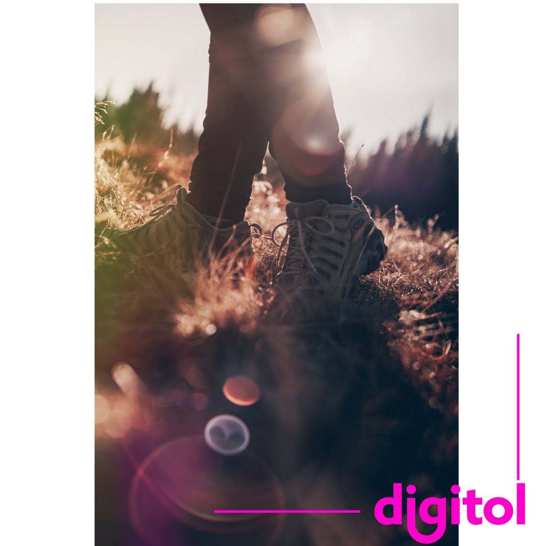 Digitol Eu tweet media