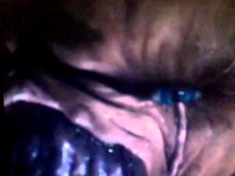 Just saying......🤣 https://t.co/rpuZh9TDT7<a href="/tag/tbvideo"class="tags"><span>#tbvideo</span></a>