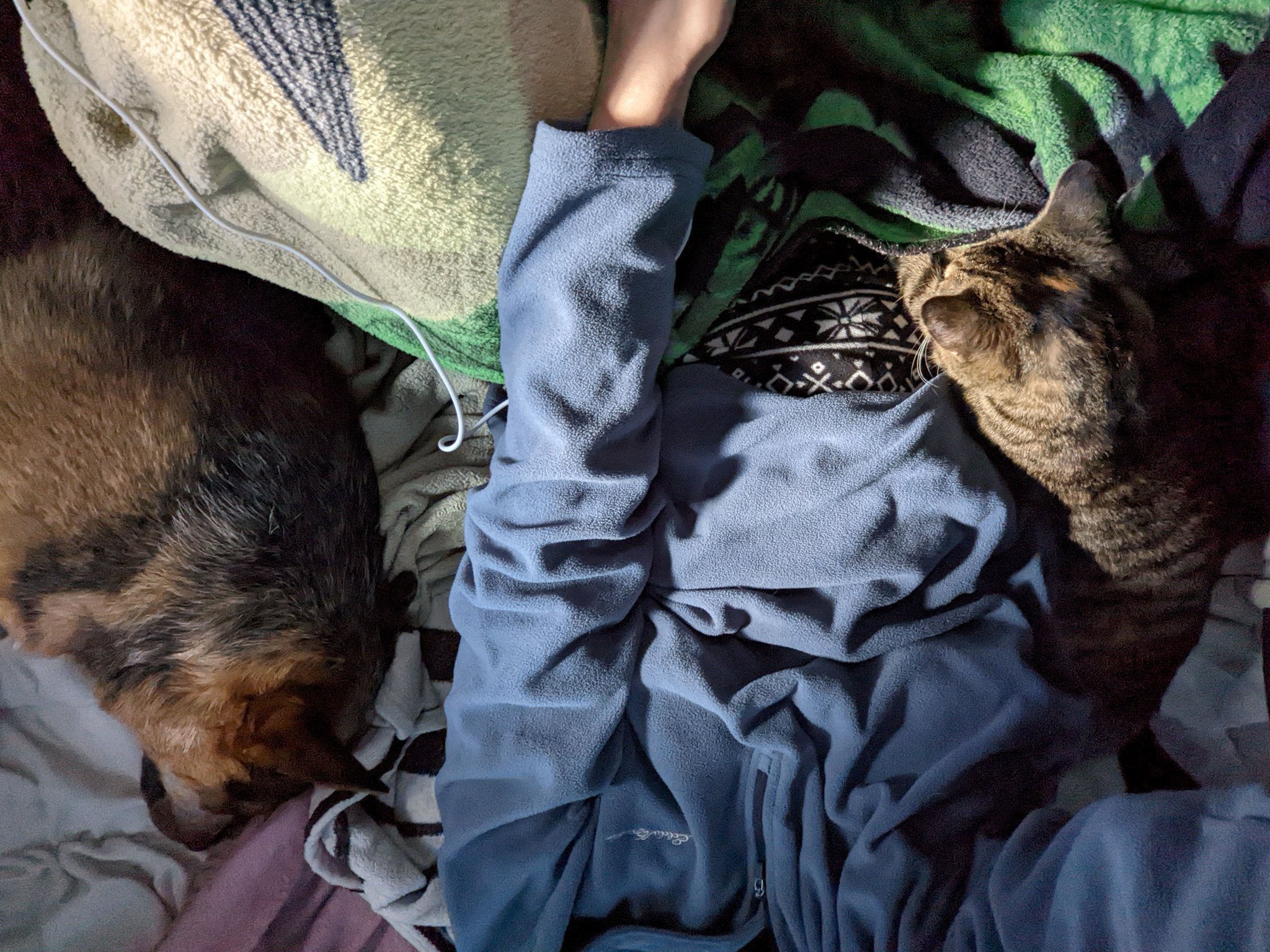 TW Pornstars - Charlie Cruise. Twitter. Nap time. 6:19 PM - 19 Jan 2022