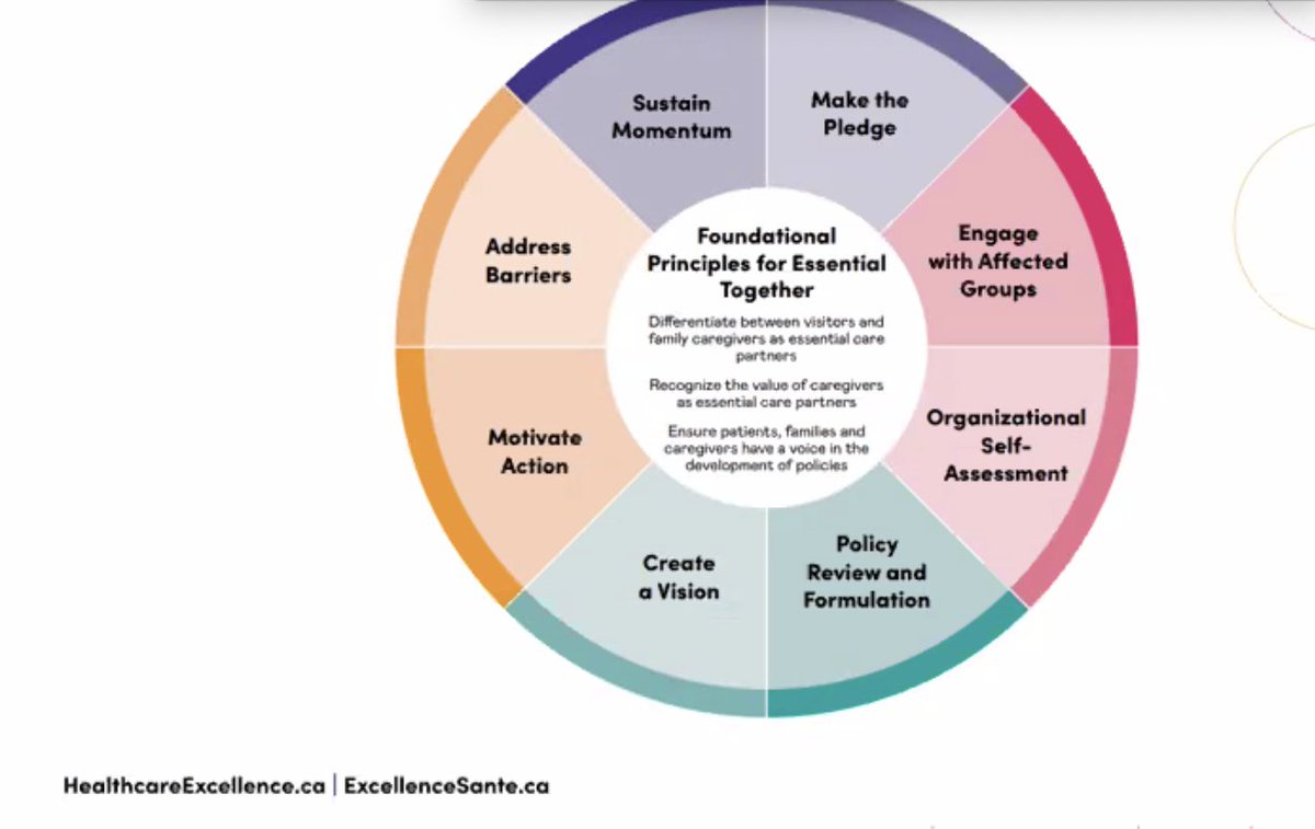 clairehsnyman's tweet photo. Learning about the Foundational Principles for #EssentialTogether with @HE_ES_Canada. The wheel is a great way of looking at how to best step forward in safely integrating #essentialcarepartners in healthcare https://t.co/4K91Py7arY