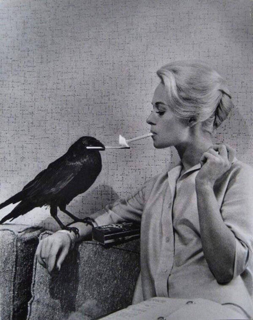 Happy 92nd birthday to Tippi Hedren 