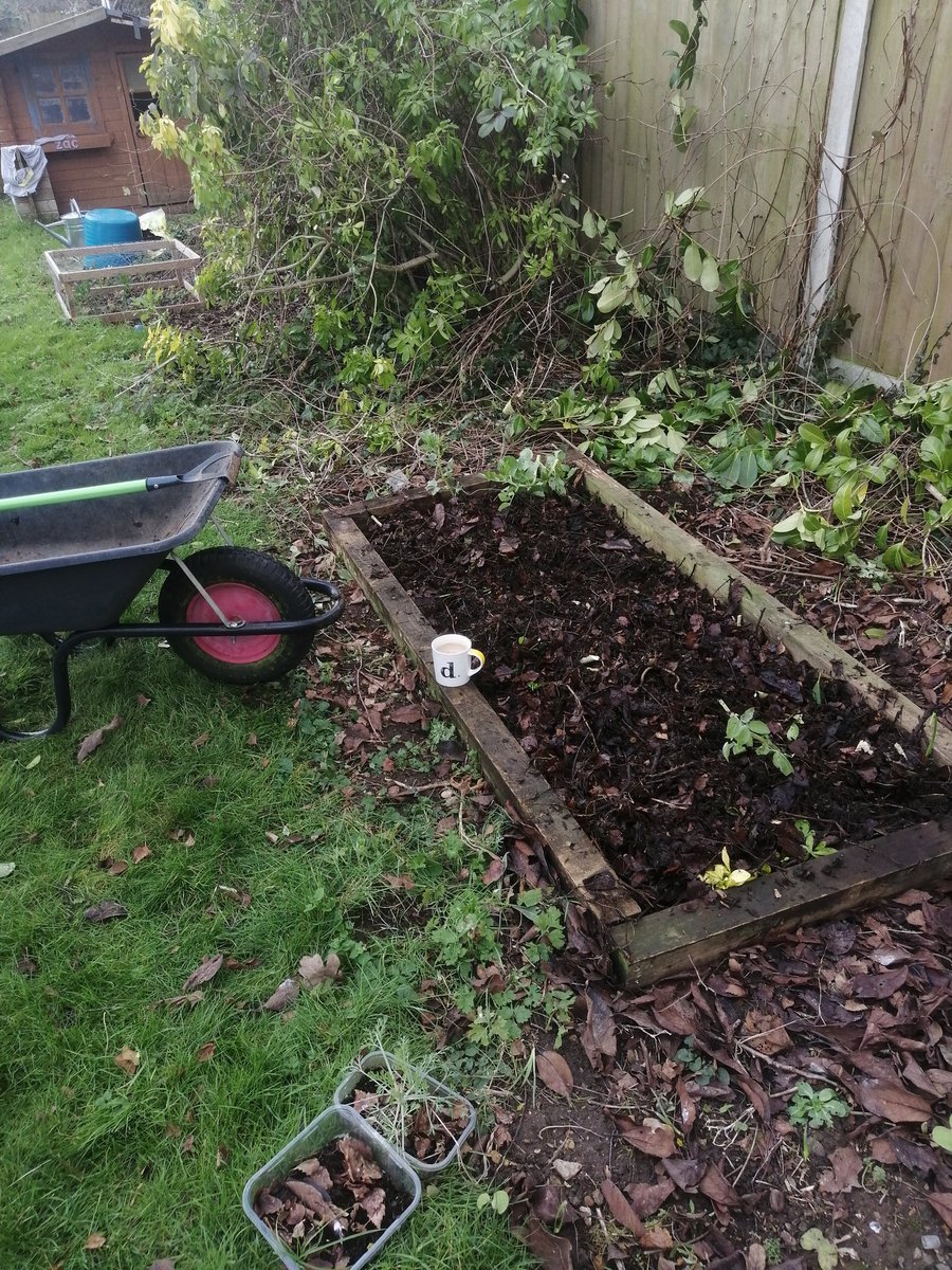 mzyzdcg's tweet photo. First raised border and mulch down ready for #nodig this year https://t.co/K79vXBsgkL