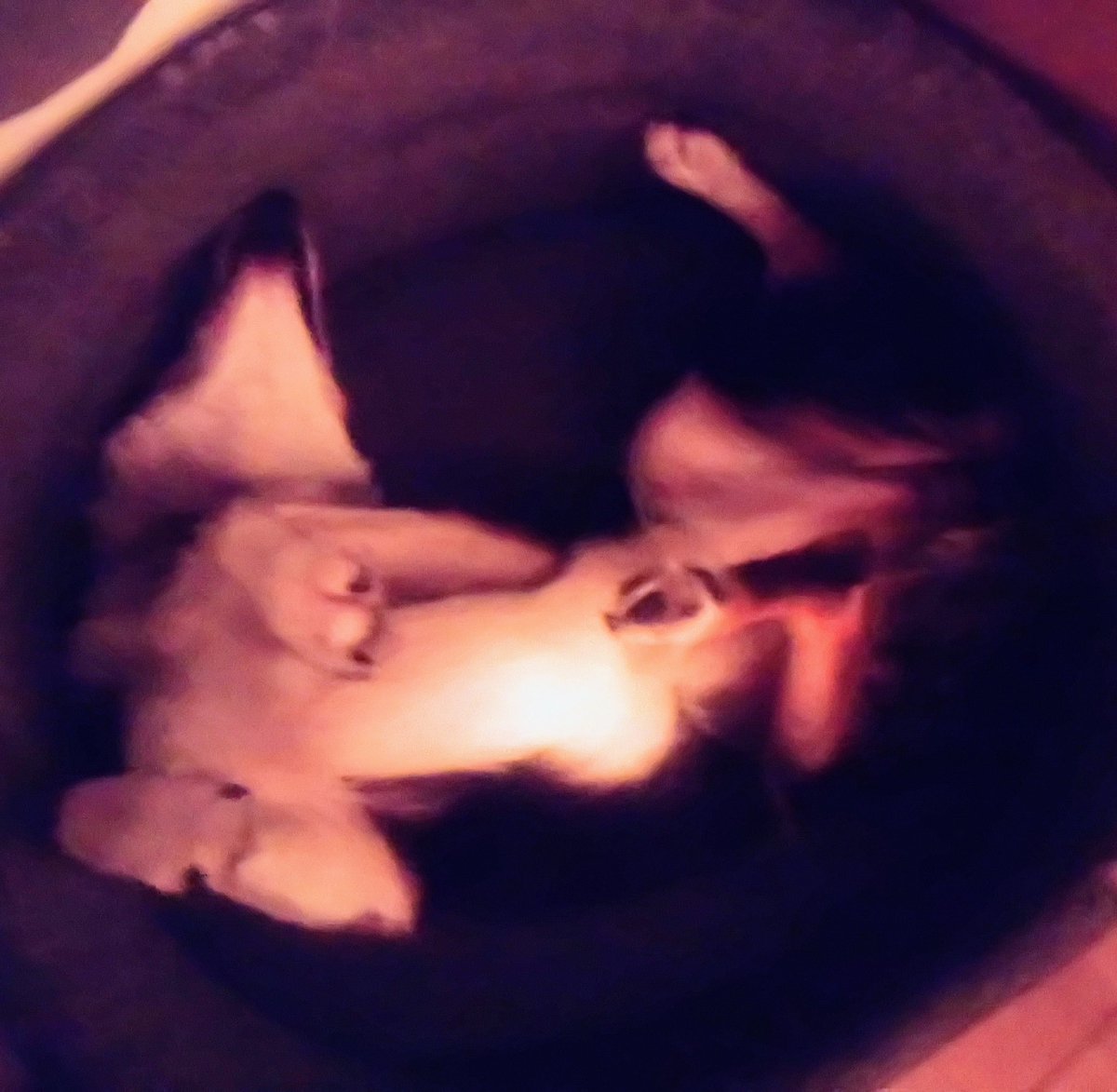 Nell & Jess tweet media