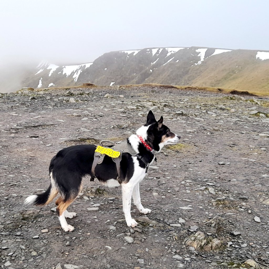 Nell & Jess tweet media