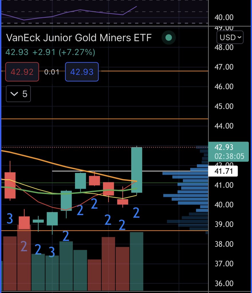 premiumonsale's tweet photo. $GDXJ  The ole 3-2-2 on the weekly #TheStrat https://t.co/bfrlmalYLJ