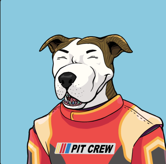 Droid_pitcrew's tweet photo. @MookieNFT Just to be sure my portfolio is always safe i bought 4 pits. And lucky me the artwork is nice as hell and the community is even better https://t.co/YgvEtwVEpJ