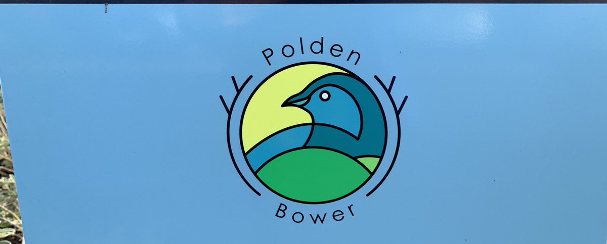 Emily Vickery tweet media