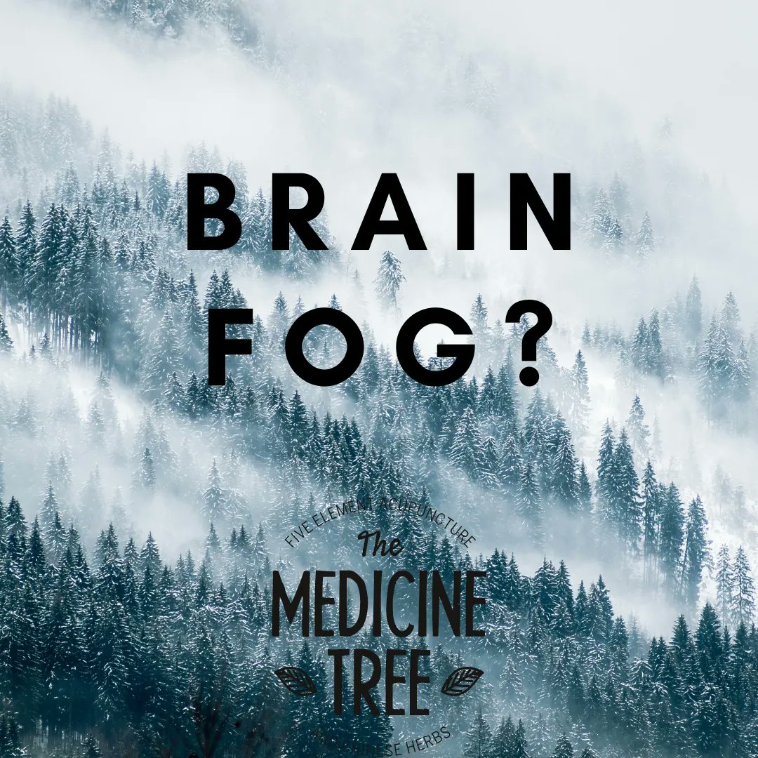 TheMedicineTree's tweet photo. Acupuncture can treat brain fog and other often related symptoms like forgetfulness,  confusion or inability to focus, all while improving sleep and boosting the immune system! #brainfog #heal #medfree #acupunctureworks https://t.co/JxmSzsjhFB