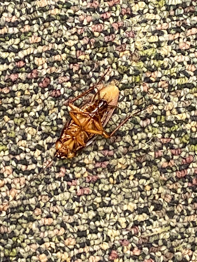 Day 2 of classes #Relatable