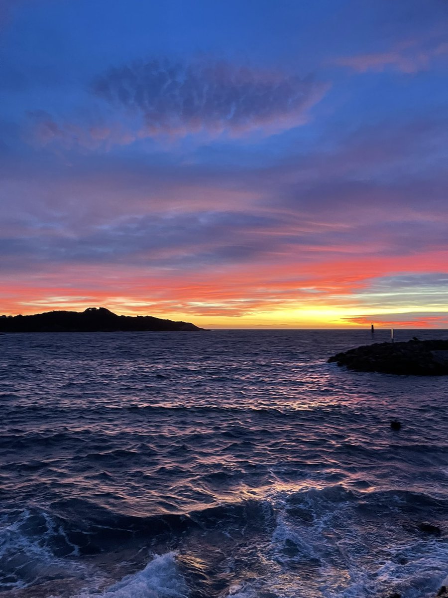 William Boiché tweet media