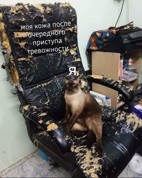 so_mad_so_funny's tweet photo. https://t.co/tQavJneeiT