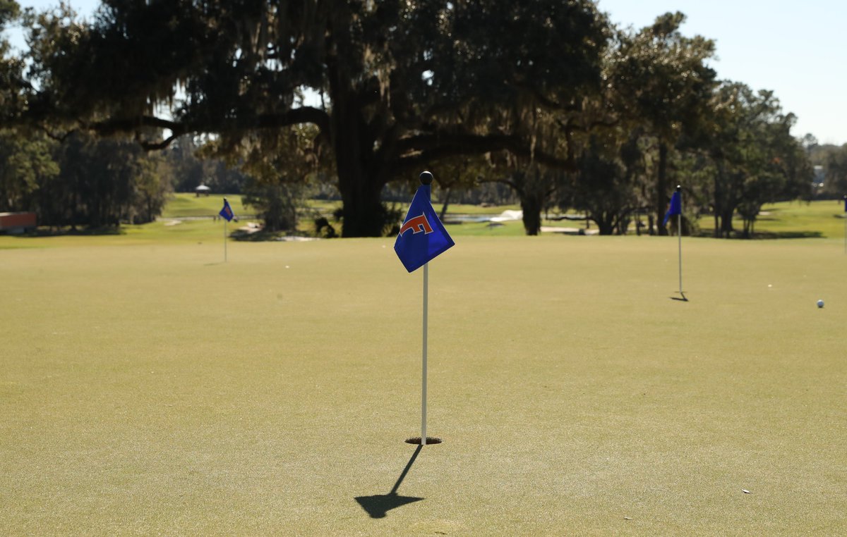 Gators Golf tweet media