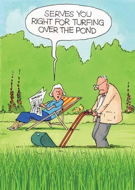 Evergreen_JC's tweet photo. Wednesday Humor https://t.co/JGzlcxT1BW