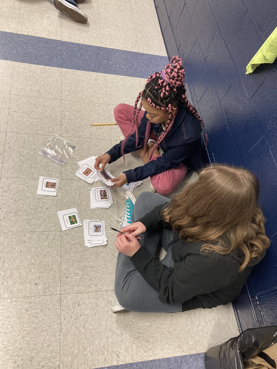 Burns_SHS's tweet image. There’s a new Zoo in town. 6th grade science busy sorting all the different organisms into the right exhibit. #rsmsknights #meaningfullearning #phenomenonbasedlearning