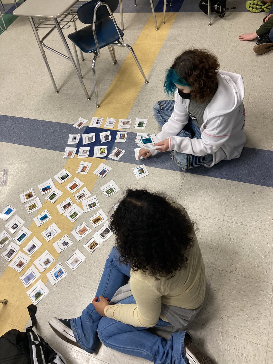 Burns_SHS's tweet image. There’s a new Zoo in town. 6th grade science busy sorting all the different organisms into the right exhibit. #rsmsknights #meaningfullearning #phenomenonbasedlearning