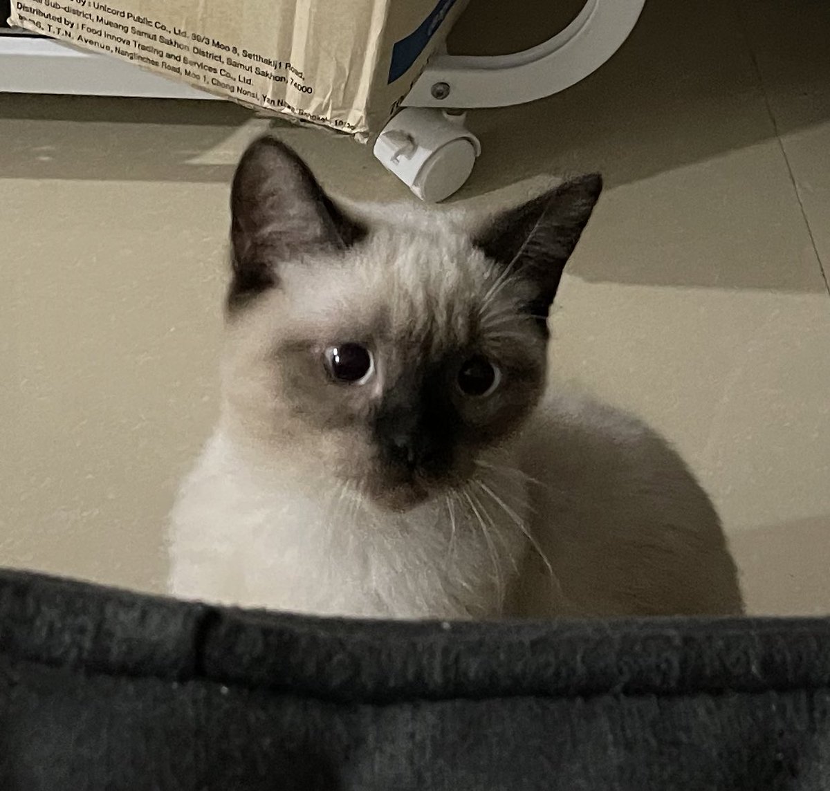 จะเอาไรไหนบอกมาซิ