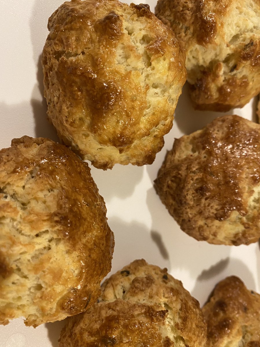 𝘒𝘢𝘵𝘩𝘳𝘪𝘯 𝘌♭ tweet media