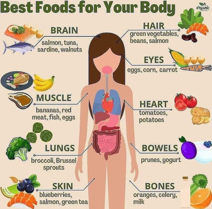 PamelaSmoothie's tweet photo. It is vital to have awareness of the most healthful foods to ensure a wide range of nutrients in the diet. A balanced diet is a secret to healthful eating.⁣
🔥 Get a complete 21-Day DETOX Smoothie Diet Plan with over 36 daily meal-replacement smoothie recipes, shopping lists. https://t.co/E4BRDrKcvS