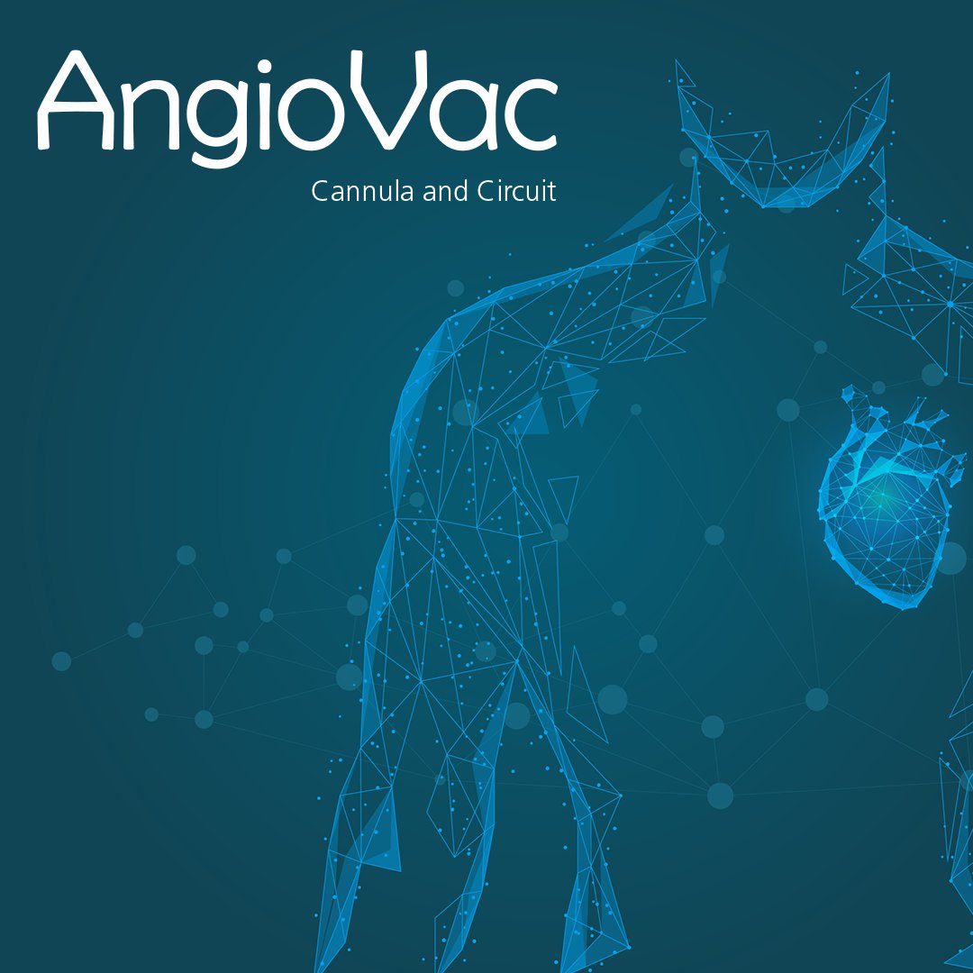 AngioDynamics, Inc. (@angiodynamics) on Twitter photo Thank you to Drs. Powell (IR), Gibber (CT), and Manchec (<a href="/Manchec_MD/">Barbara Manchec, MD</a>) at <a href="/BaptistHealthSF/">Baptist Health</a> for the livestream at #ISET2022! We thank you for your continued partnership in patient care. <a href="/ISETNews/">ISET</a> #AngioVac
Risk Info: bit.ly/AVRiskInfo Thank you to Drs. Powell (IR), Gibber (CT), and Manchec (<a href="/Manchec_MD/">Barbara Manchec, MD</a>) at <a href="/BaptistHealthSF/">Baptist Health</a> for the livestream at #ISET2022! We thank you for your continued partnership in patient care. <a href="/ISETNews/">ISET</a> #AngioVac
Risk Info: bit.ly/AVRiskInfo