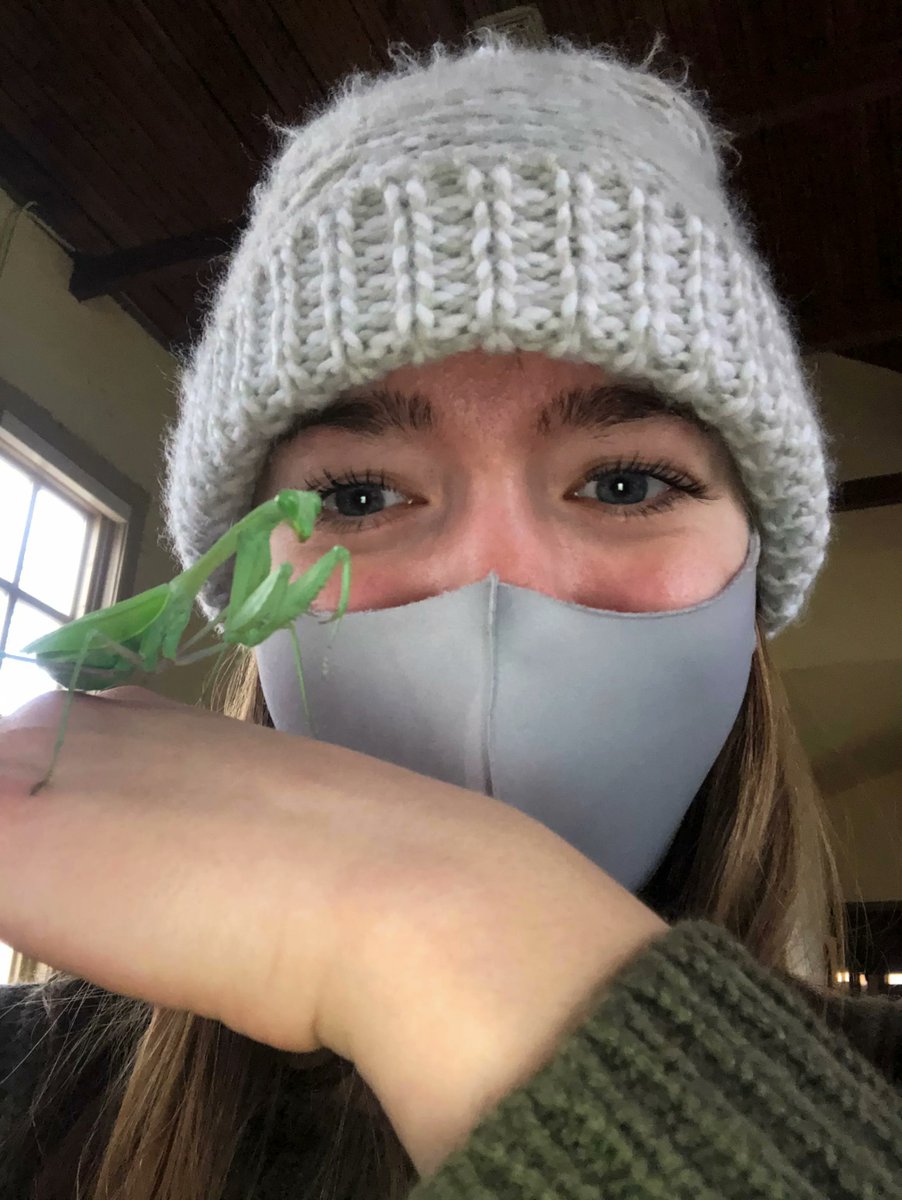 On 🤳 #MuseumSelfieDay, we'd like introduce you to Abby Andrews, who is in the Blount Scholars Program ( @BlountProgramUA ) and @UAMNH's chief 🐛 bug care person! #UAMuseums #RollTide #Tuscaloosa #Alabama #MuseumSelfie