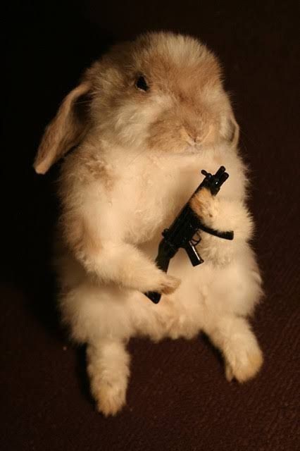 AYUDAAA CTMMM YA NOSE SI ESTOY EN UNA PIEZA O EN UN HORNOO AAAAAAAAAAAAAAAAAAAA