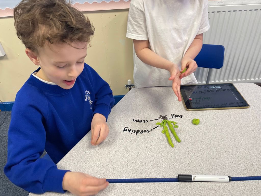 rothwellstmarys's tweet photo. Y2 used stop motion to show the life cycle of a plant. Here is what the process looked like. #computing #scientistsoftwitter #curriculum https://t.co/LNxQbGu5KW