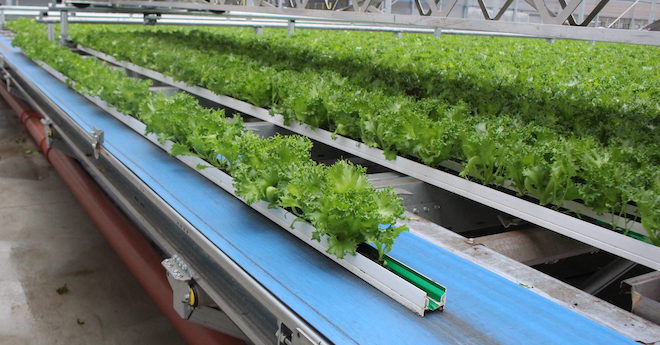 VGN_News's tweet photo. Revolution Farms (@EatRevFarms) continues to expand greenhouse operation, providing ‘local’ greens to Midwesterners https://t.co/zYd9i41Xfs https://t.co/WWCv7SqdLf