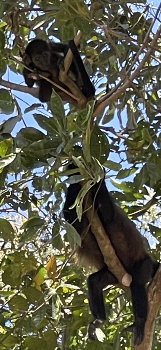 My nuts hurt looking at this guy.